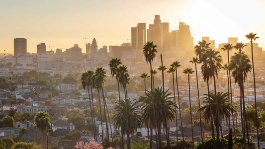 Los Angeles Local Gift Delivery: A Convenient Way to Show You Care